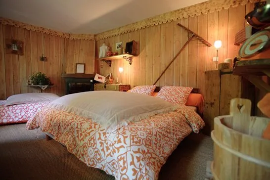 La Maison des Sources - Chambre "boisée" 79€ pour 1 personne / 89€ pour 2 personnes / 109€ pour 3 personnes Petits déjeuners compris